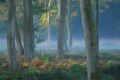 brume bleutée - paysages  forestiers