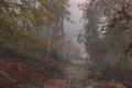 Pourru aux bois - paysages  forestiers