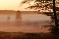 pourru aux bois - paysages  forestiers