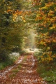 La Marette - paysages  forestiers