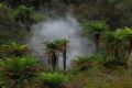 geyser à Rotorua - Nouvelle Zélande jan 2012