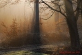 Tipi d'ombres - paysages N° 2