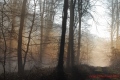 parcelle 83 - paysages N° 2