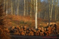 les grumes - paysages N° 2