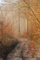 l'Automne arrive - paysages N° 2