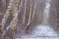 blanc sur blanc - paysages N° 2