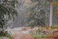 hiver en automne - paysages N° 2