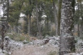 neige d'octobre - paysages N° 2