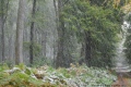 route forestière de Monchy - paysages N° 2