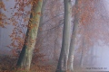 parcelle 35 - Paysages N° 3