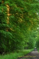 premiers rayons de soleil - Paysages N° 3