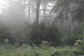 place aux semis - Paysages N° 3