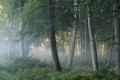 parcelle 47 - Paysages N° 3