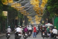 Saigon fête du tet en 2013 - Vietnam  2013