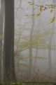 tout en grisaille - paysages N° 4