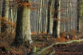 canton de la Poterie - paysages N° 4