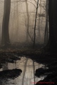 miroir d'hiver - paysages N° 4