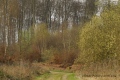 lueur de printemps - paysages N° 4