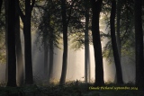 brumes d'automne - Paysages N° 5