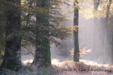 parcelle 53 en Haute Normandie - Paysages N° 5