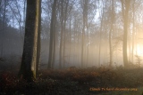 quand s'estompe la brume. - Paysages N° 5