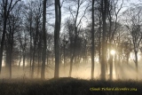 lever de soleil parcelle 53 - Paysages N° 5
