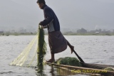 pécheur sur le lac  Inlé. - MYANMAR mai 2015