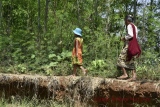 le chemin le long du fleuve Irrawaddy - MYANMAR mai 2015