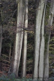 les grisards - paysages N° 6